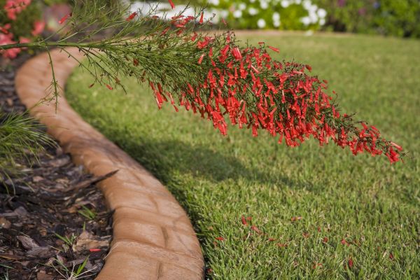 Brick Edging in Waldorf