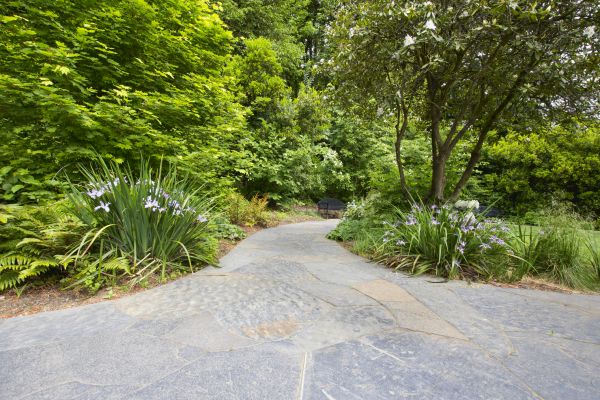 Stone Hardscape Service in Waldorf