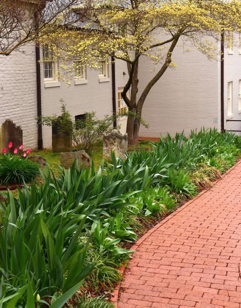 Brick Flatwork Repair in Waldorf